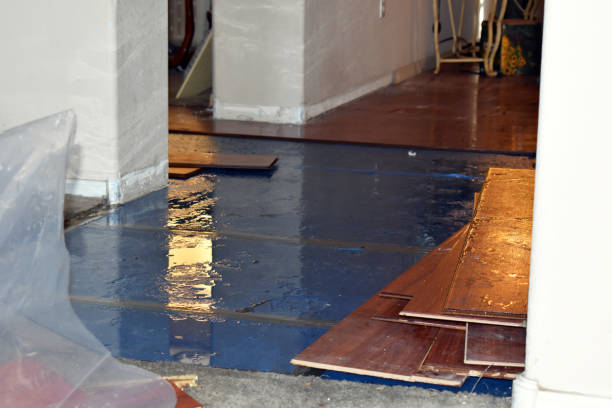 Professional Storm Water Damage Restoration technician working in Kanosh, UT